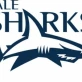 Sale Sharks Community Trust