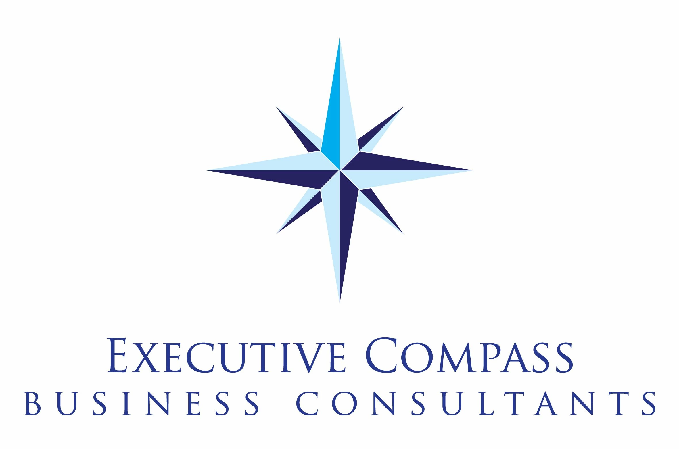 Exec Compass Logo small