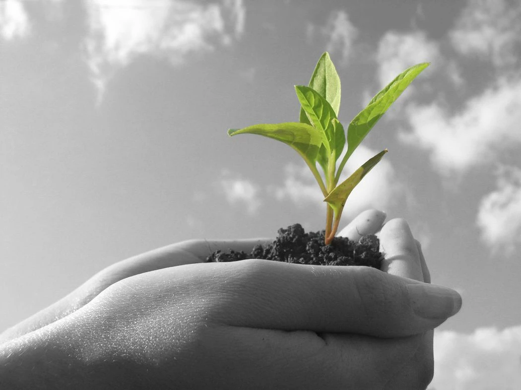 Business growth