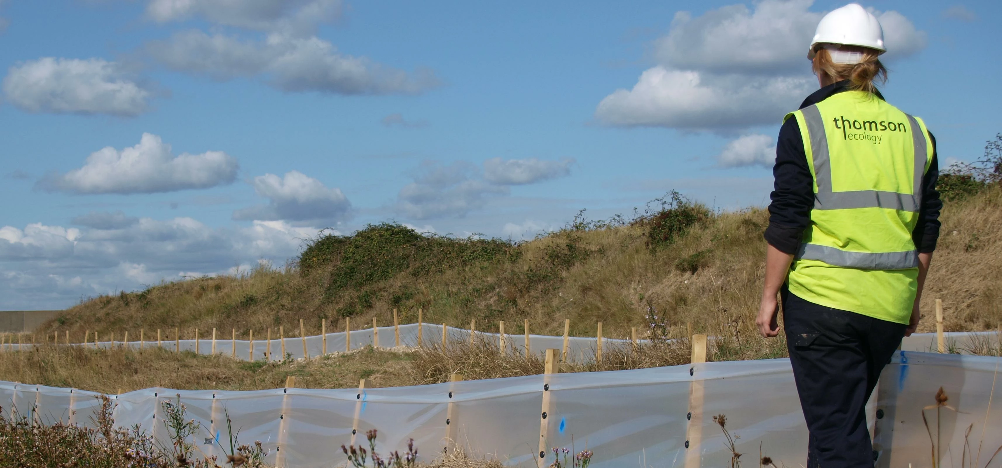 Thomson Ecology - one of the UK's leading ecology consultancies expands it's senior management team