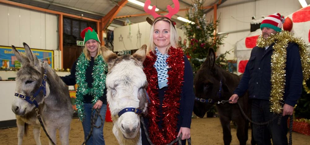 Leonna Kelly, Sales Adviser at Bodington manor, visits the donkeys David Wilson Homes has adopted