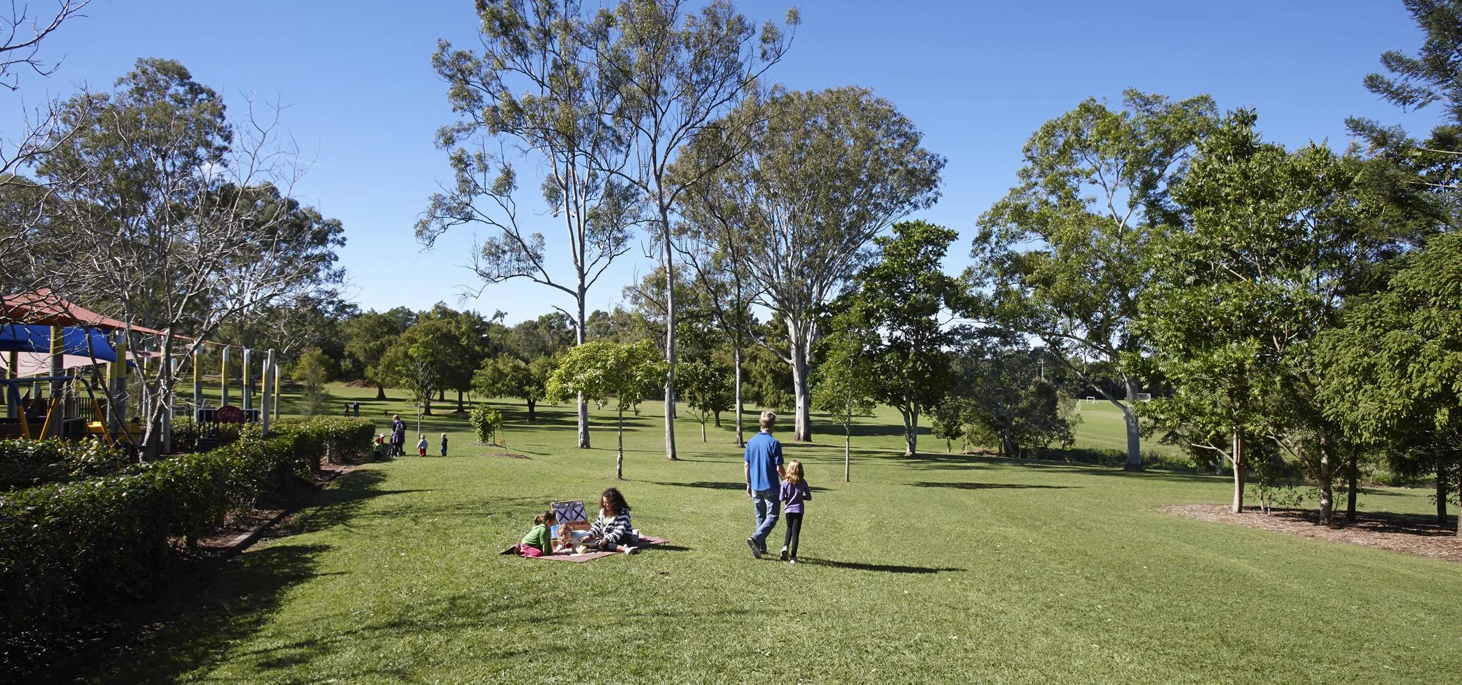 Picnic at the park