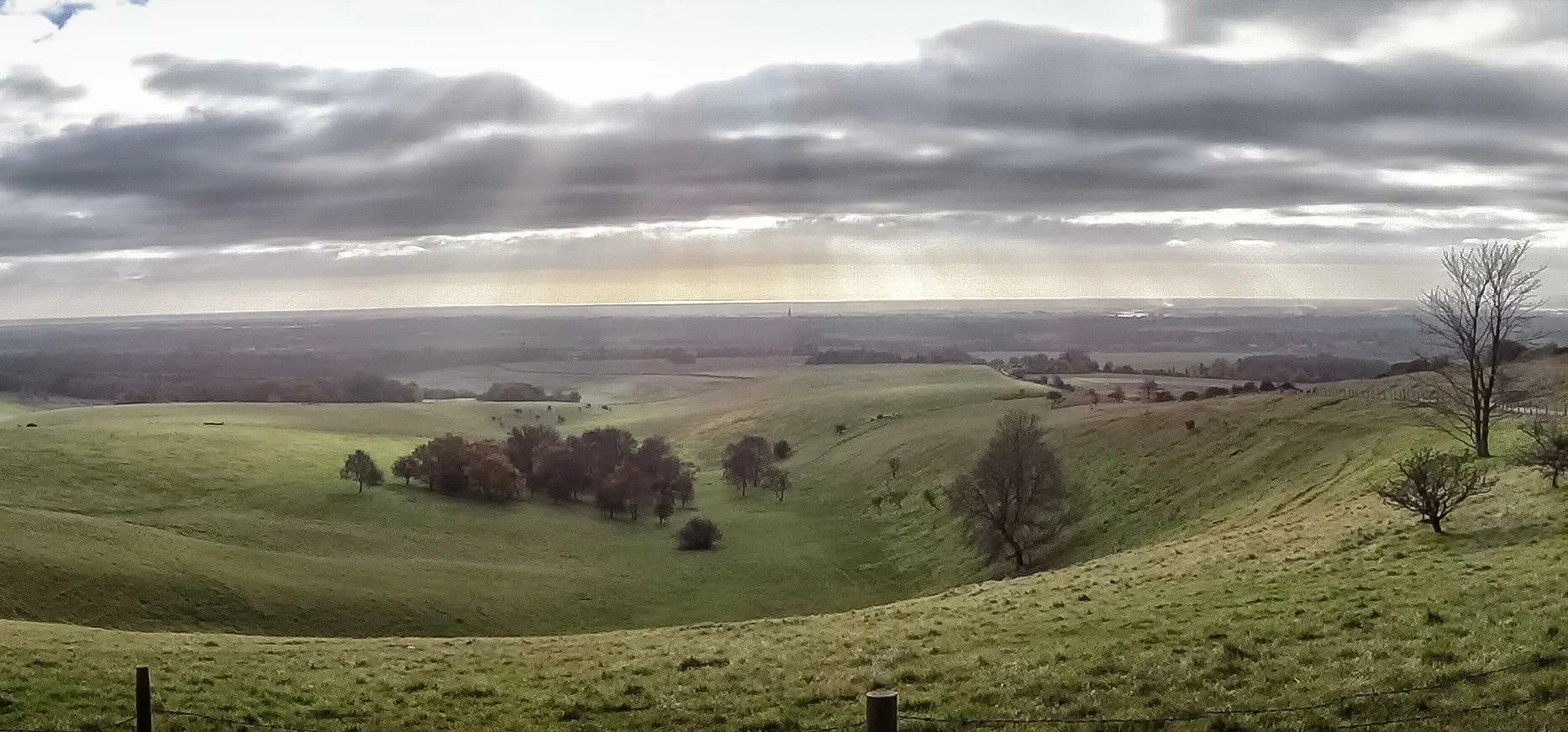 View from trundle