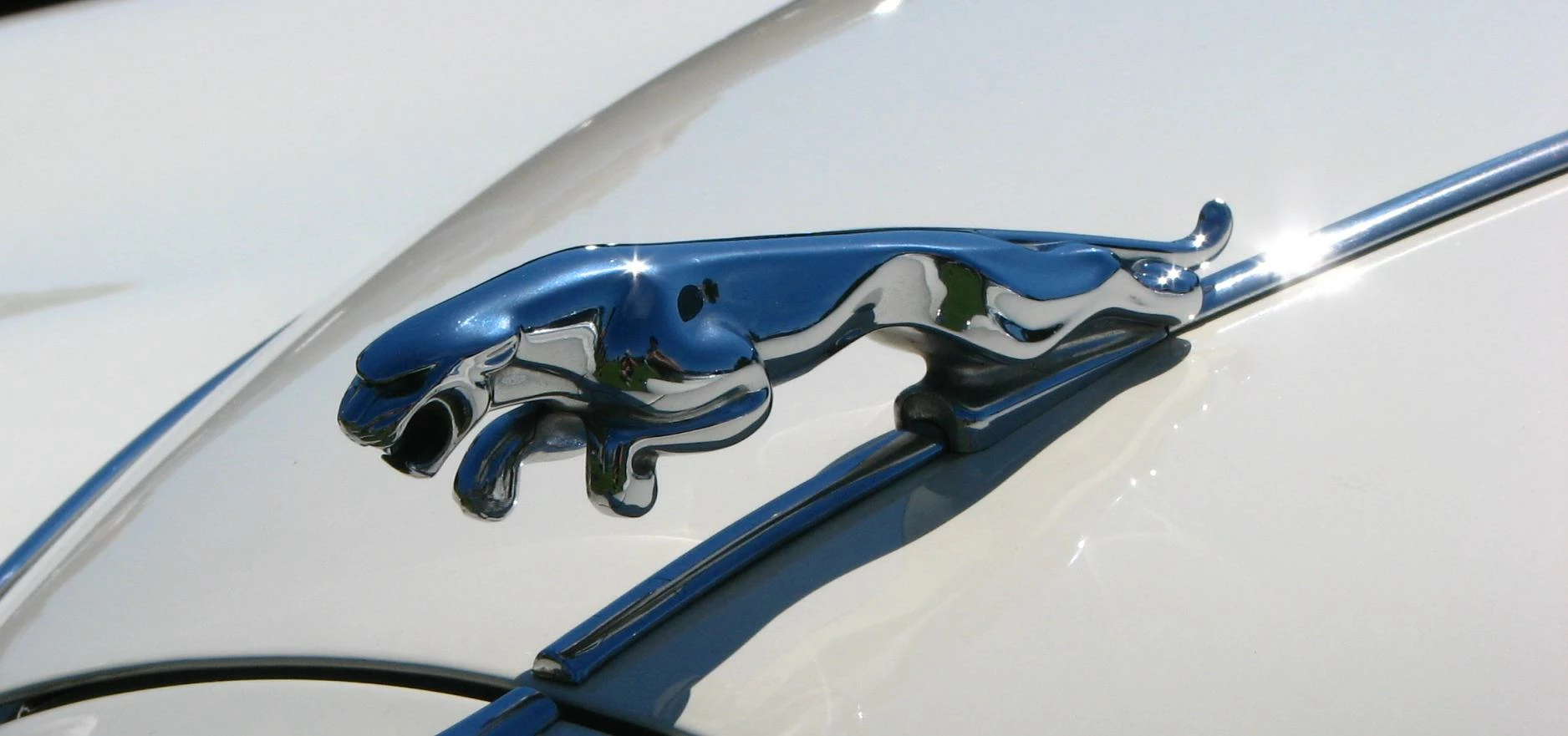 Jaguar Car show 16