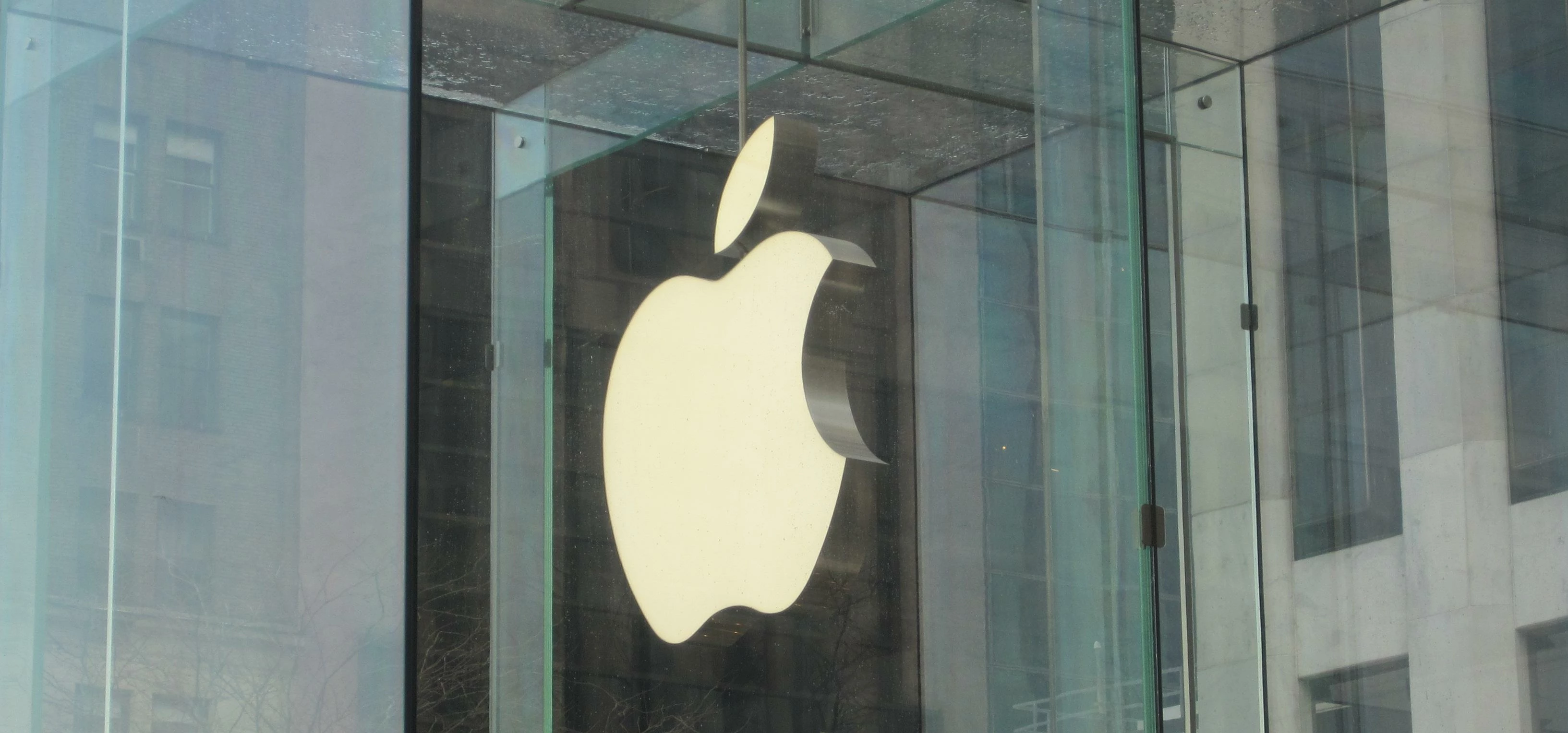 Apple Logo Suspended 5th Avenue New York City IMG_6900