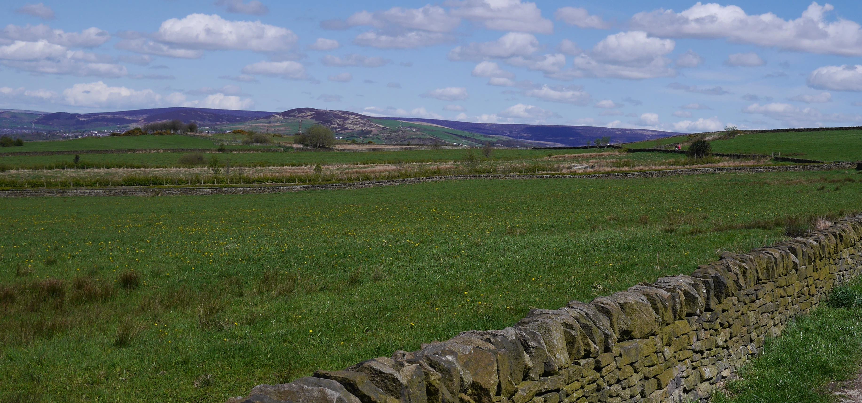 Path on Werneth Low