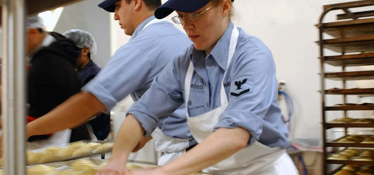 Apprenticeships for different industries 