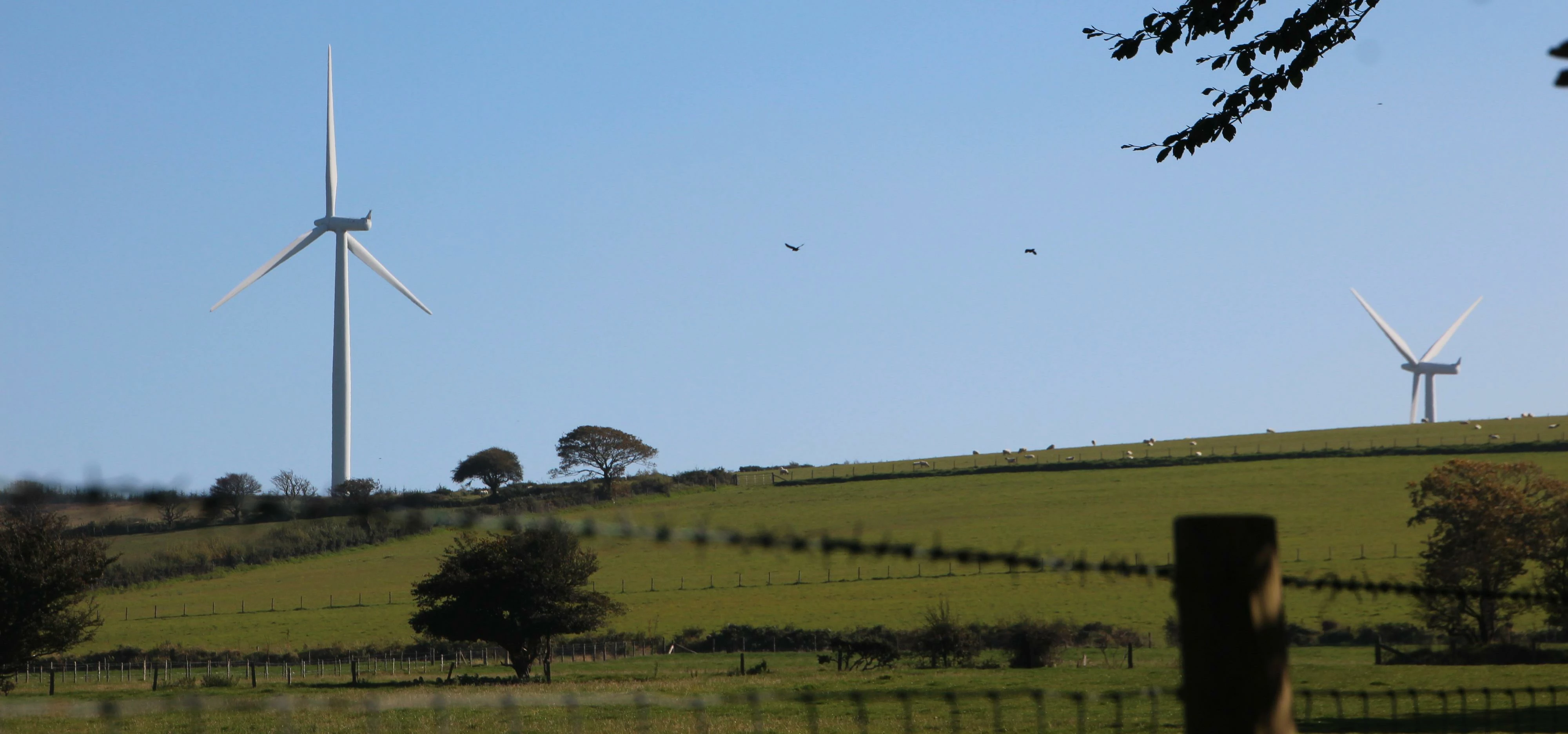 Alltwalis Wind Farm near Pencader, Wales