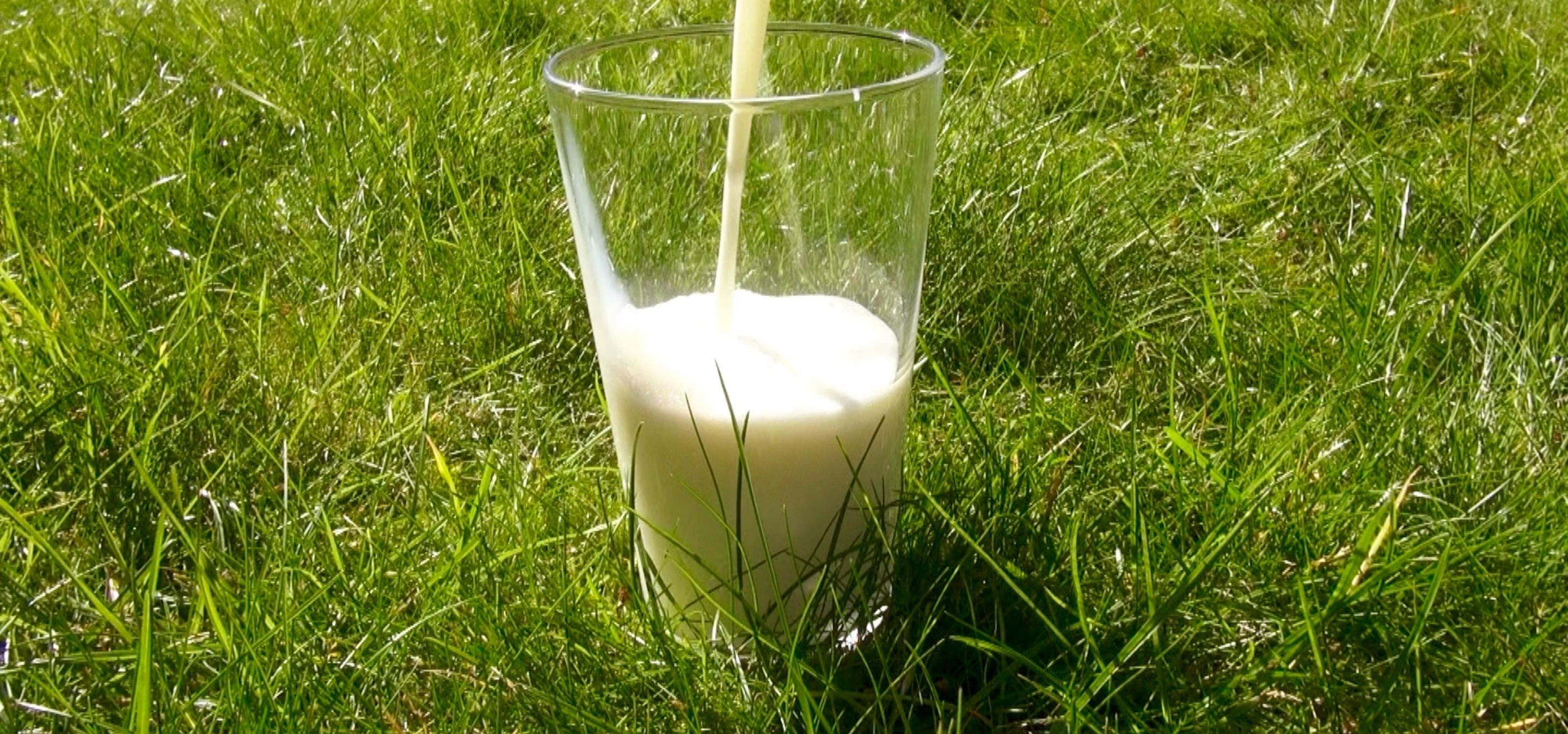 Glass of milk