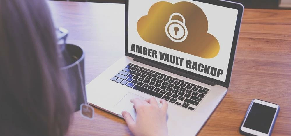 DCS has launched its new Amber Vault data backup system