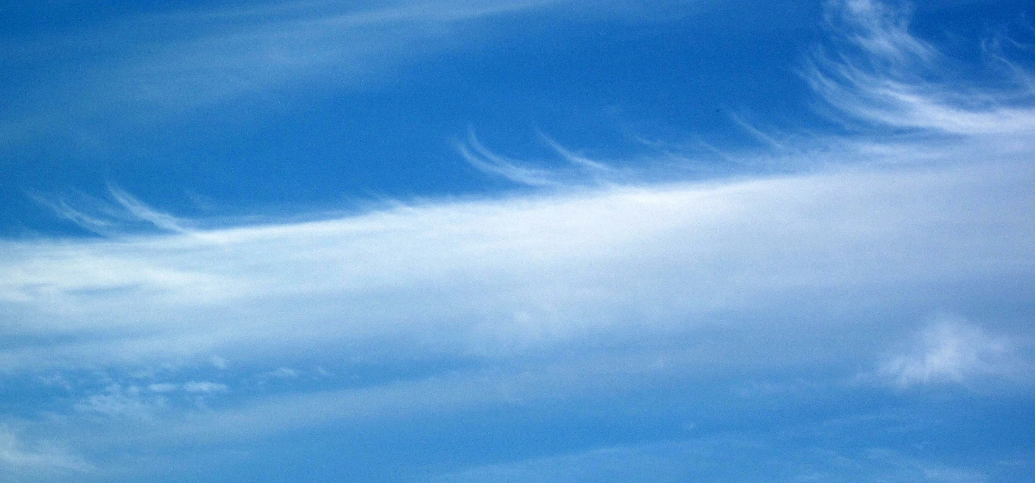 Cirrus uncinus cloud (mare's tail cloud) (late afternoon, 10 June 2015) (Virginia, Minnesota, USA) 3