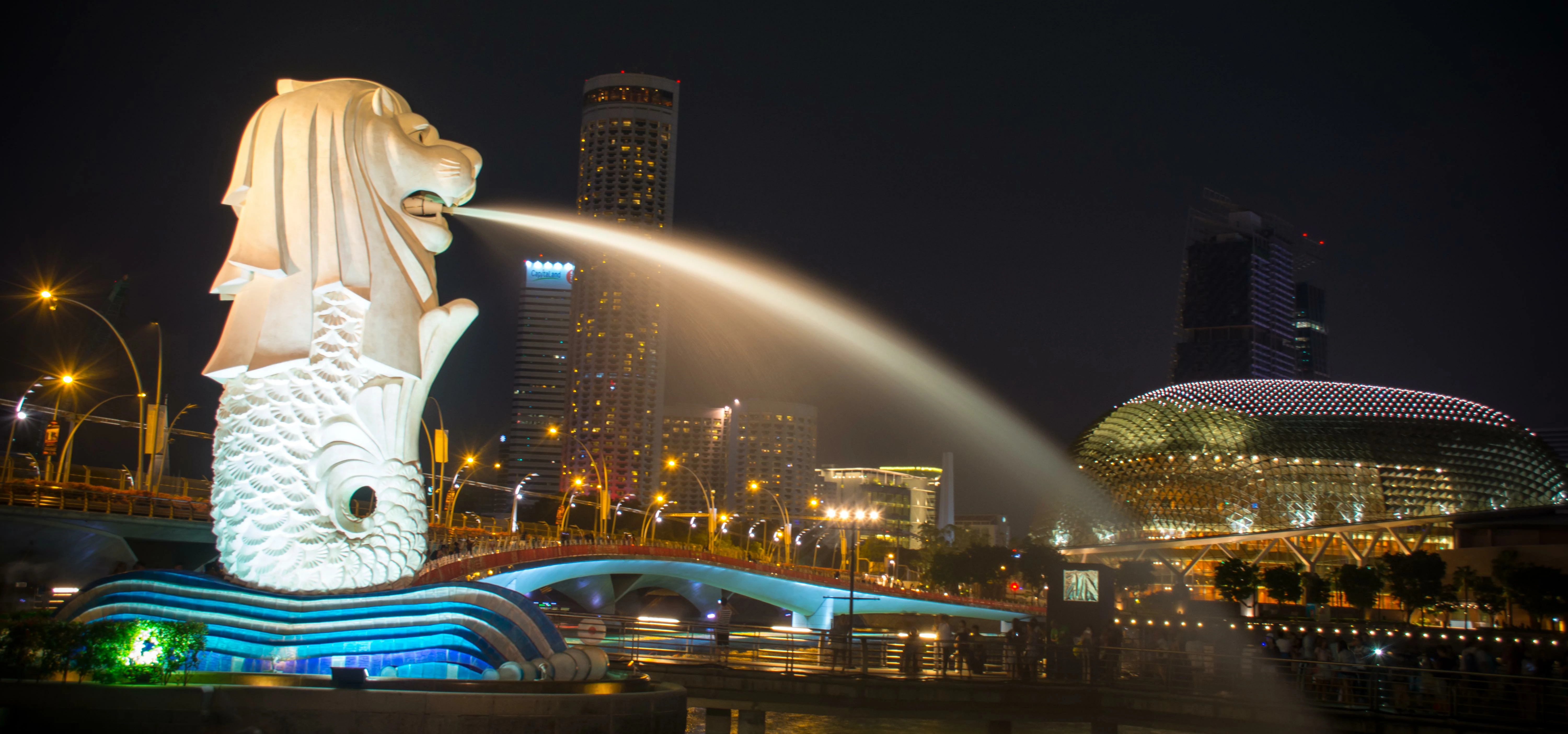 Singapore River-Singapore Skyline at Night-Merlion Park, Singapore - 9