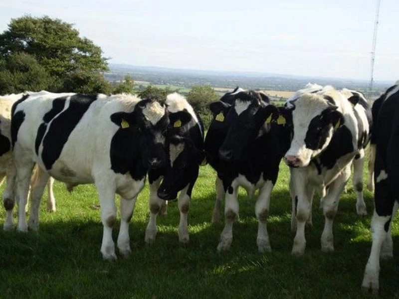 by TangibleTruth http://www.flickr.com/photos/tangibleness/3086381503/