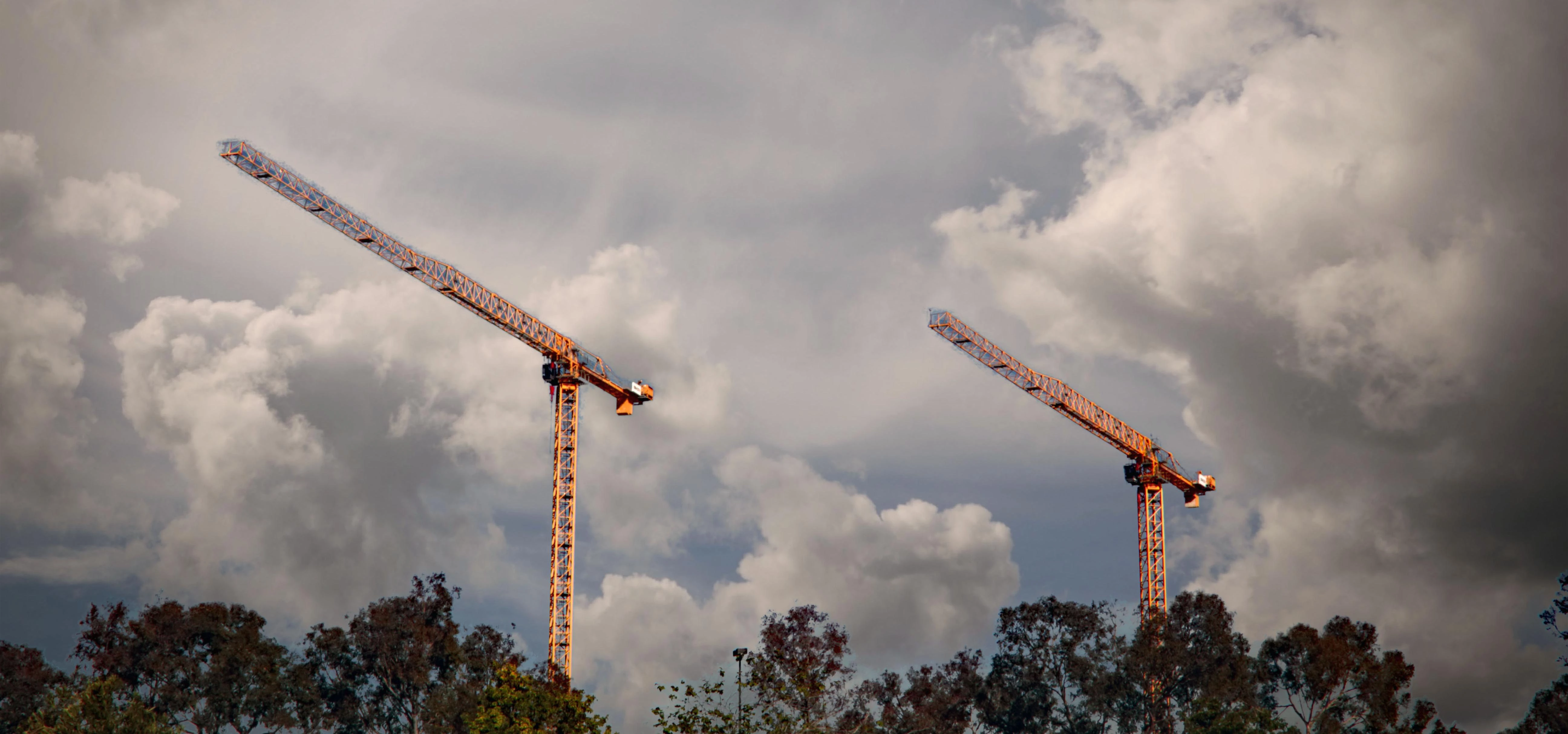 twin crane's