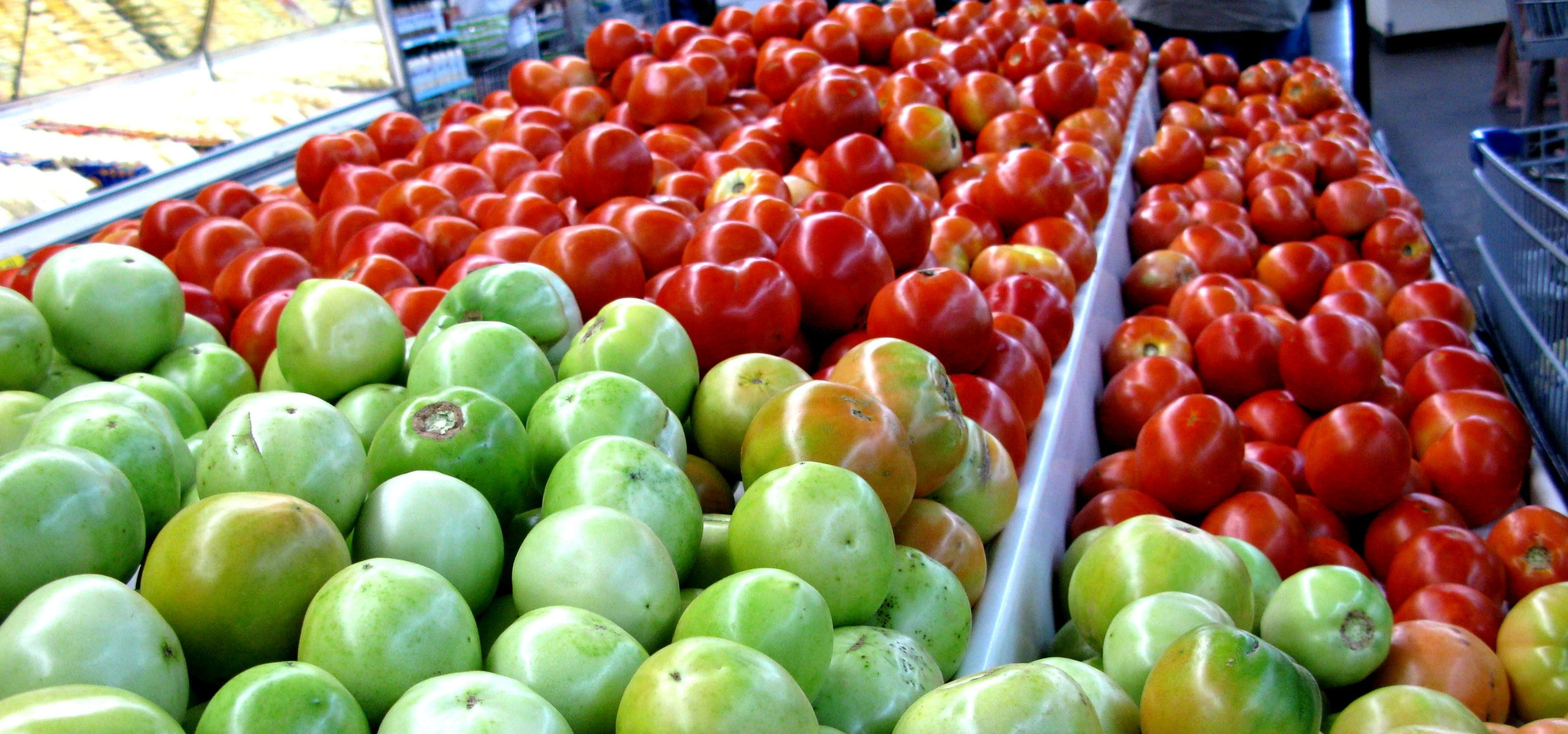 Tomato Colors