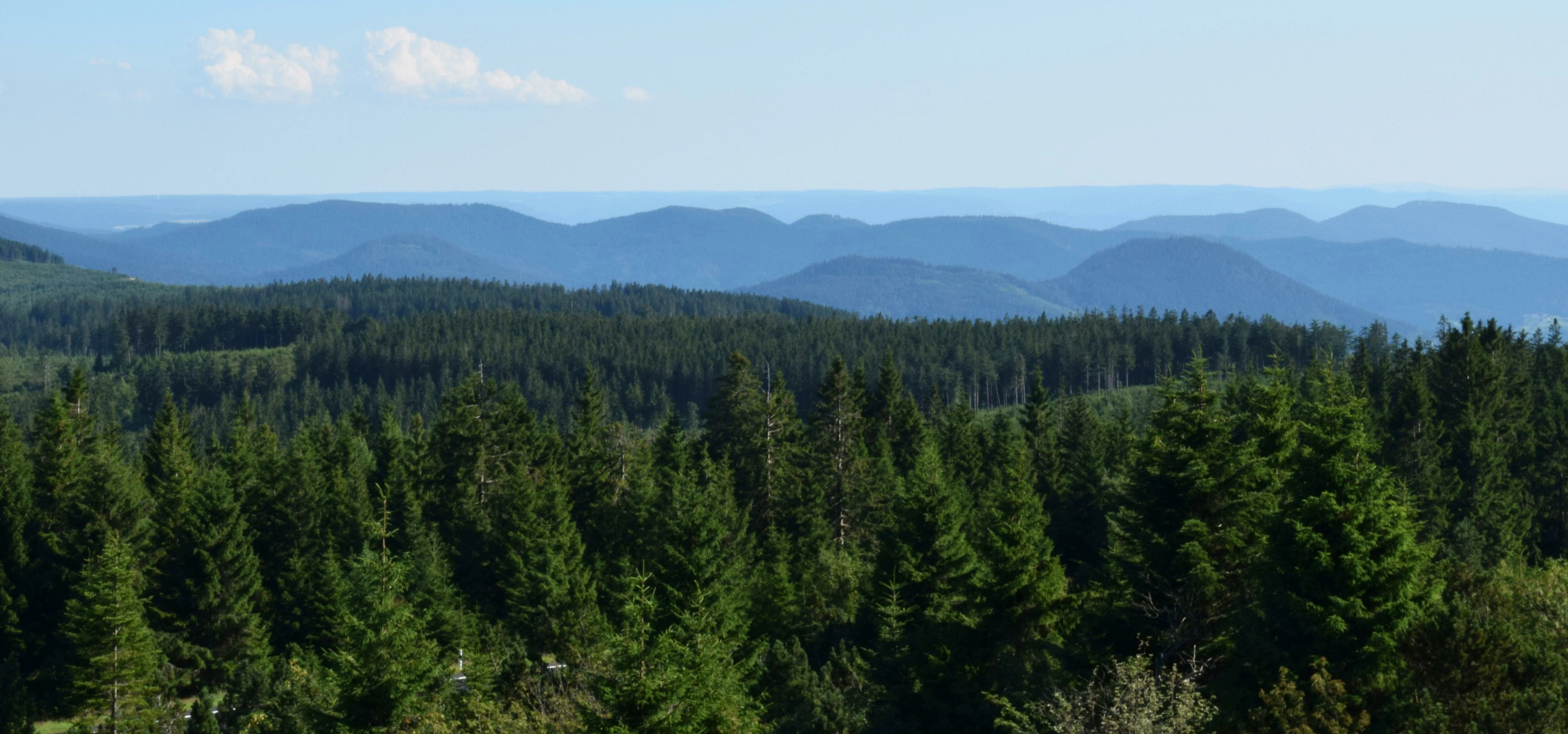 View over the black forest - Blick über den Schwarzwald