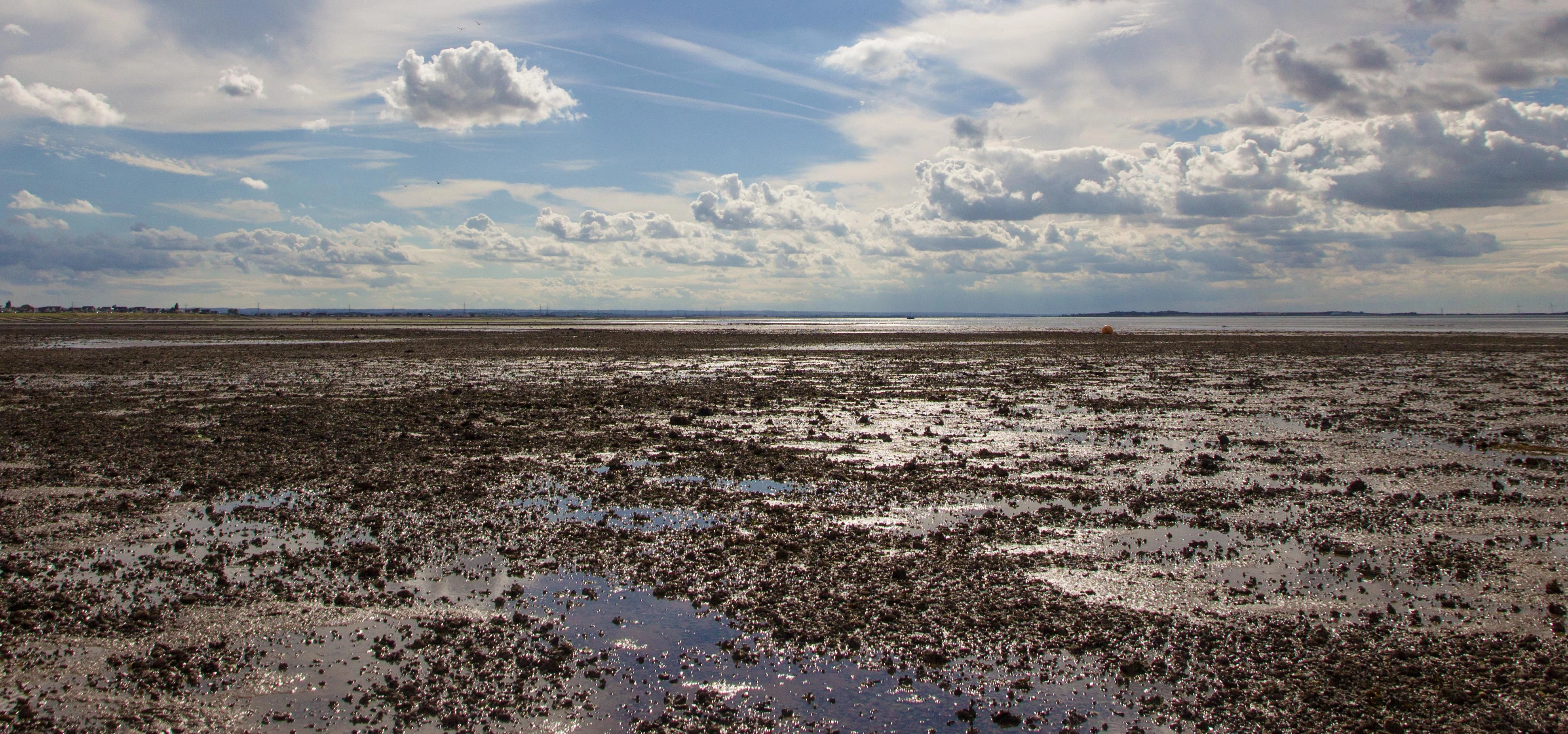 Low tide in Whitstable
