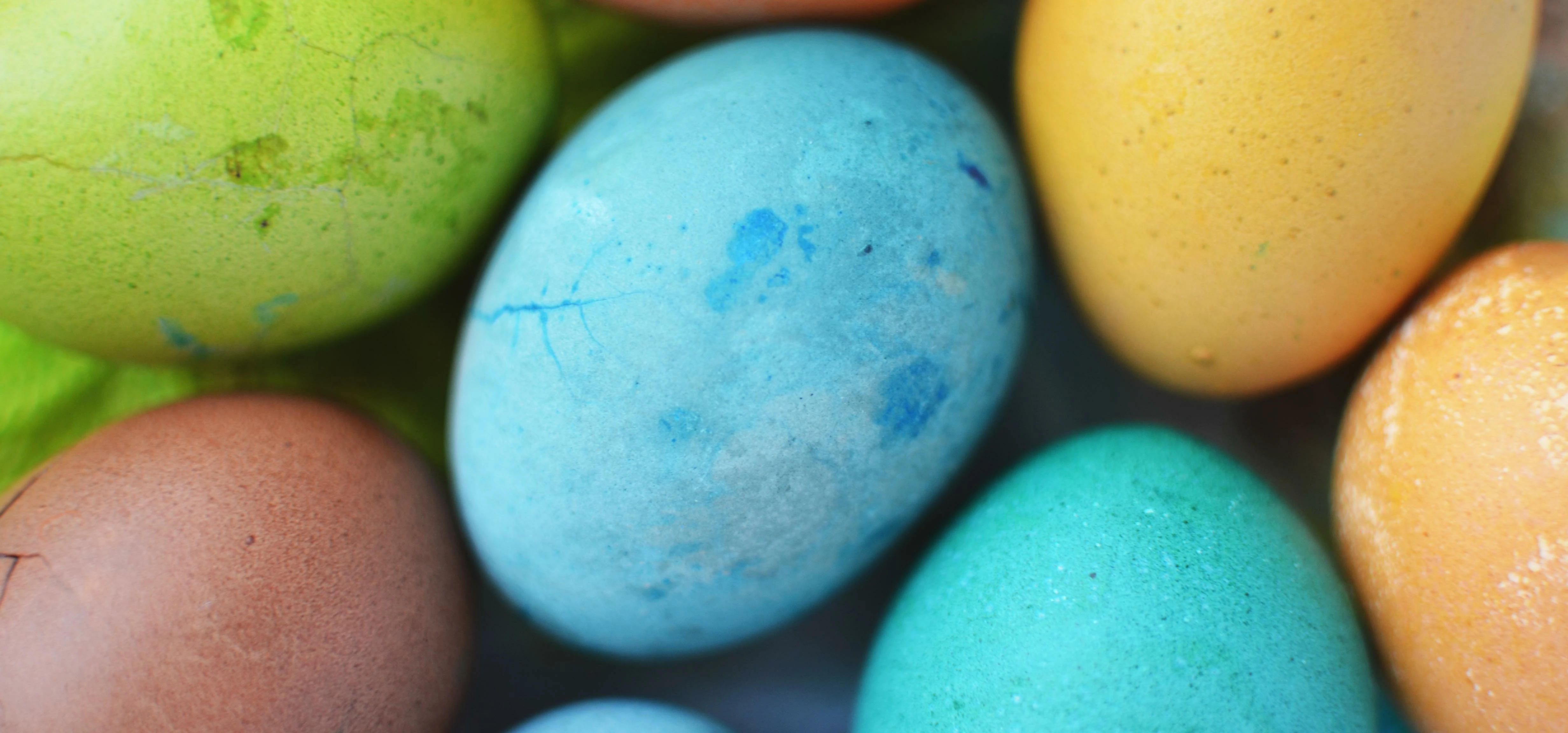 Drop an Easter egg at Stonebridge Offices' Bartle House in Manchester for the chance to win free mee