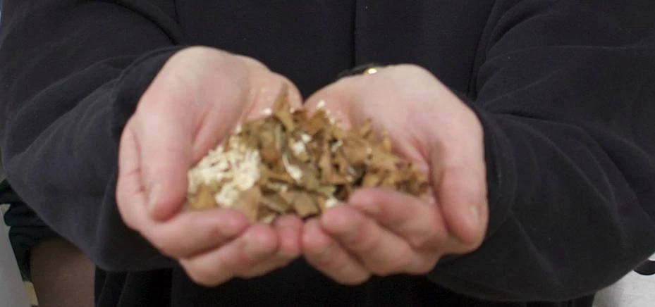 South Yorkshire TCC campaign welcomes ban on smoking in cars carrying children