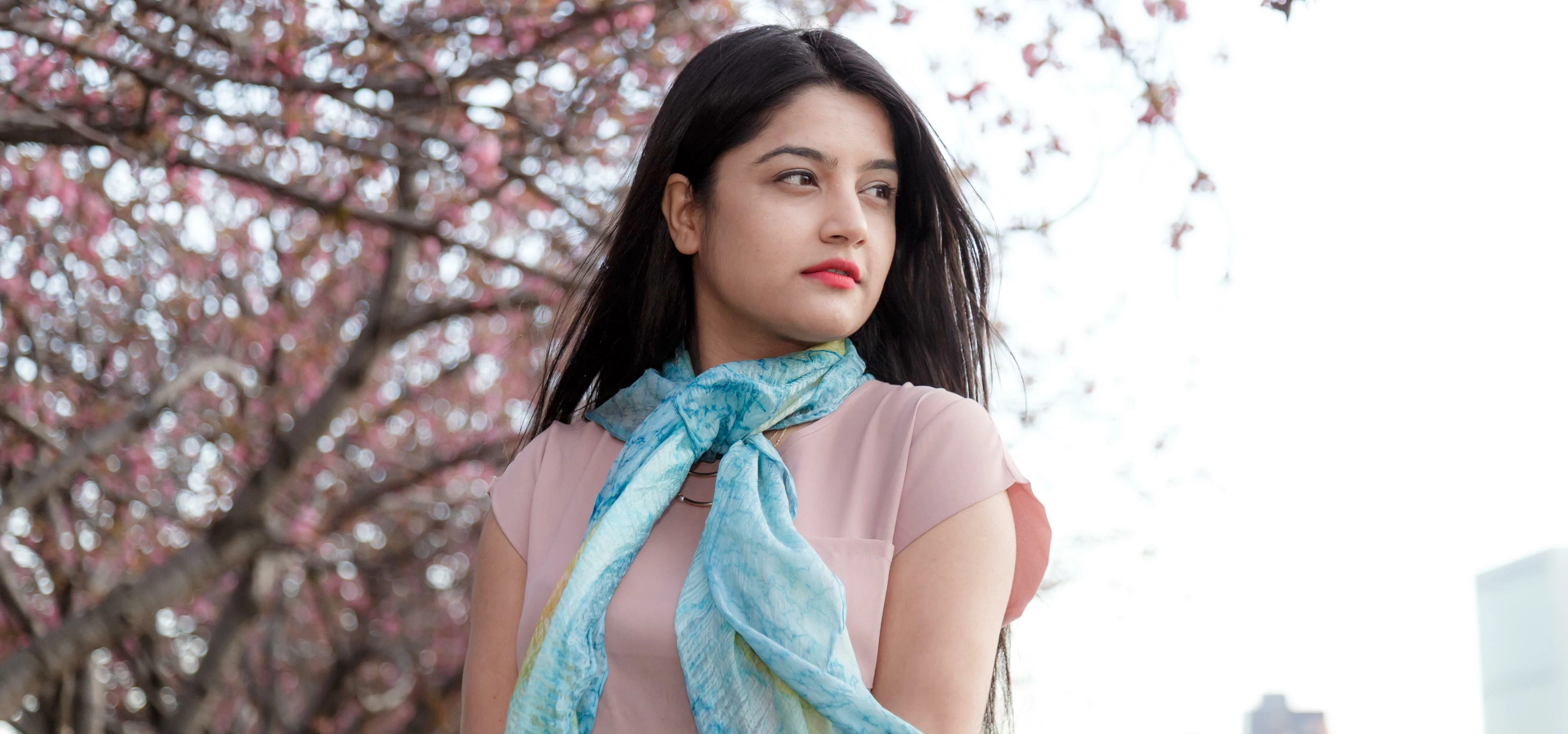 Subexya on Roosevelt Island