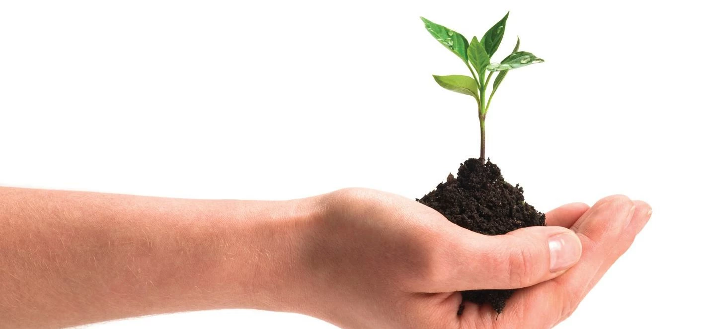 Growth funding for LivingLens