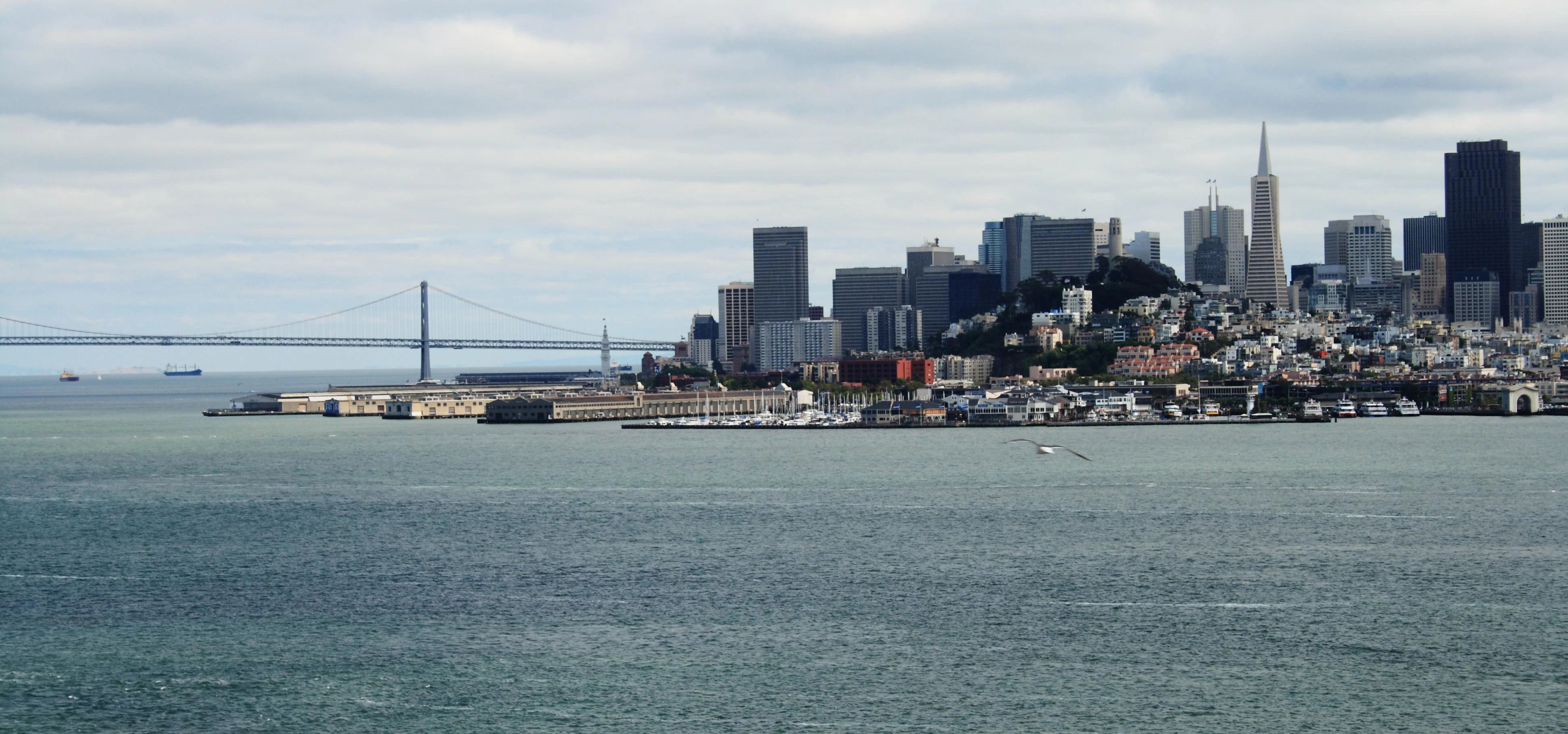 San Francisco From Alcatraz