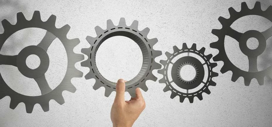 Four elements are crucial and common in all successful IT projects.