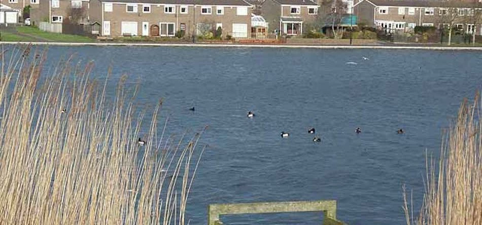 Killingworth Lake