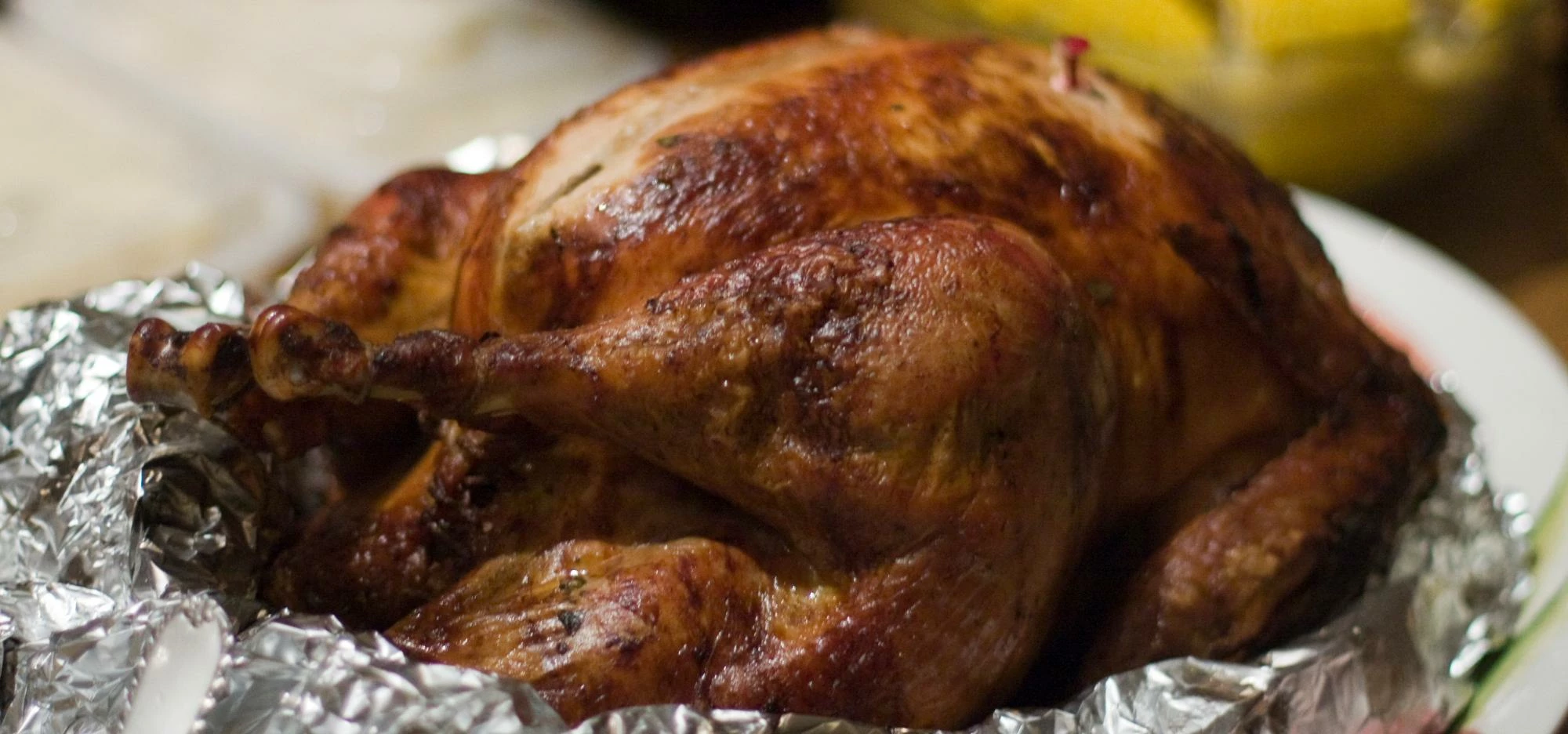 Thanksgiving turkey