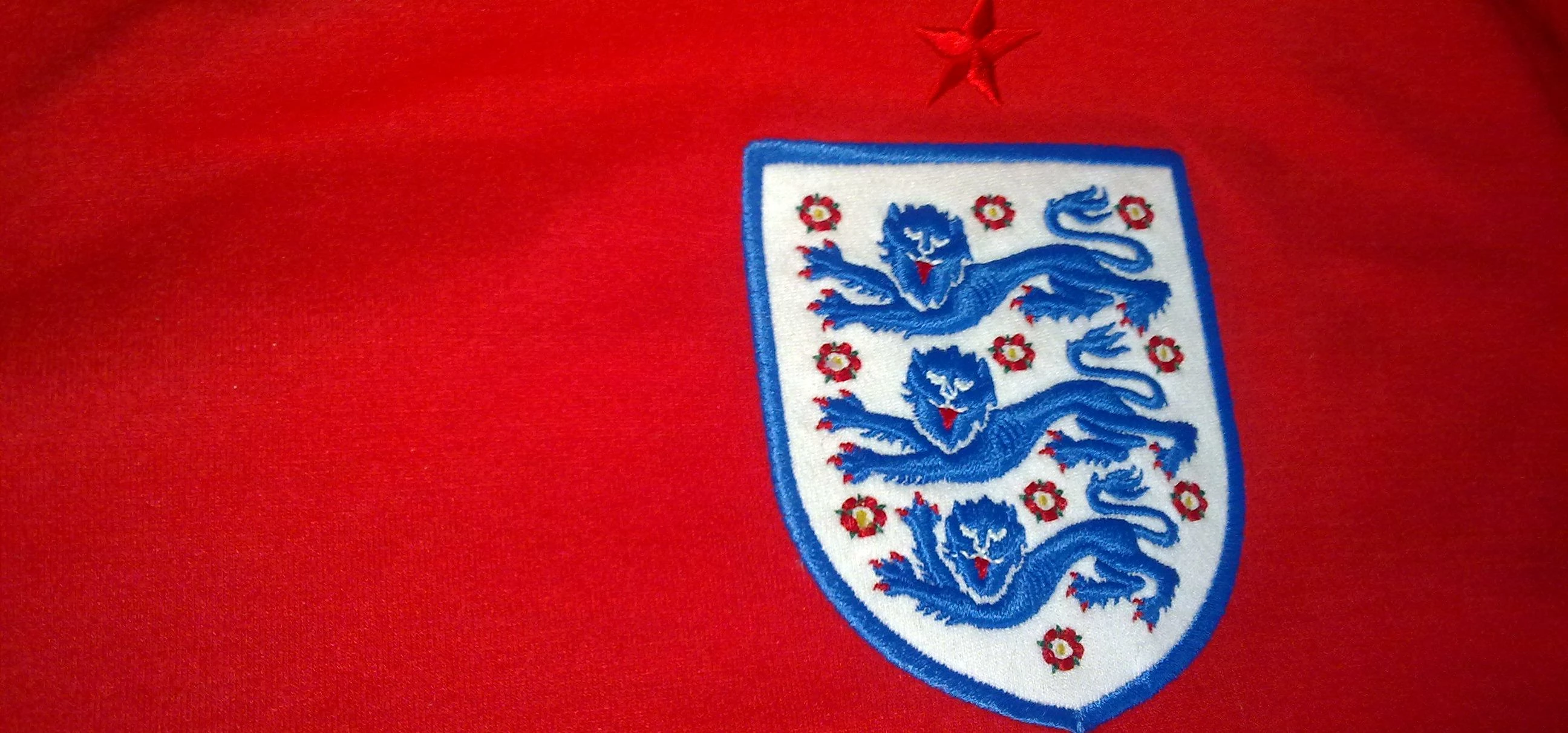 England Away Shirt 2010-2012 (torso)