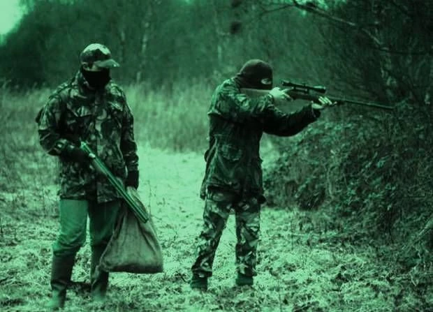 Poachers