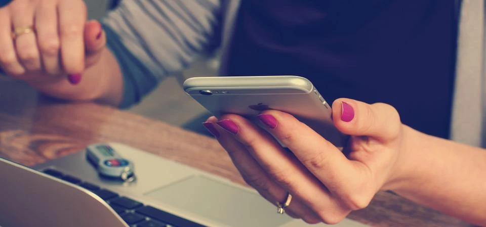 translation services