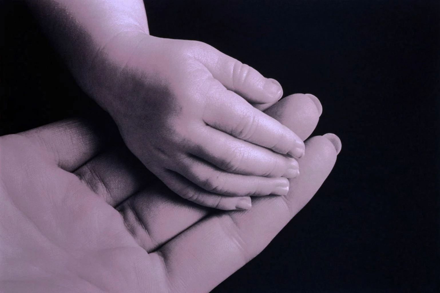 Adoption hands