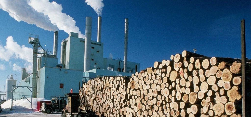 Haws Corporation on Pulp and Paper Mill Upgrades it’s Emergency Equipment