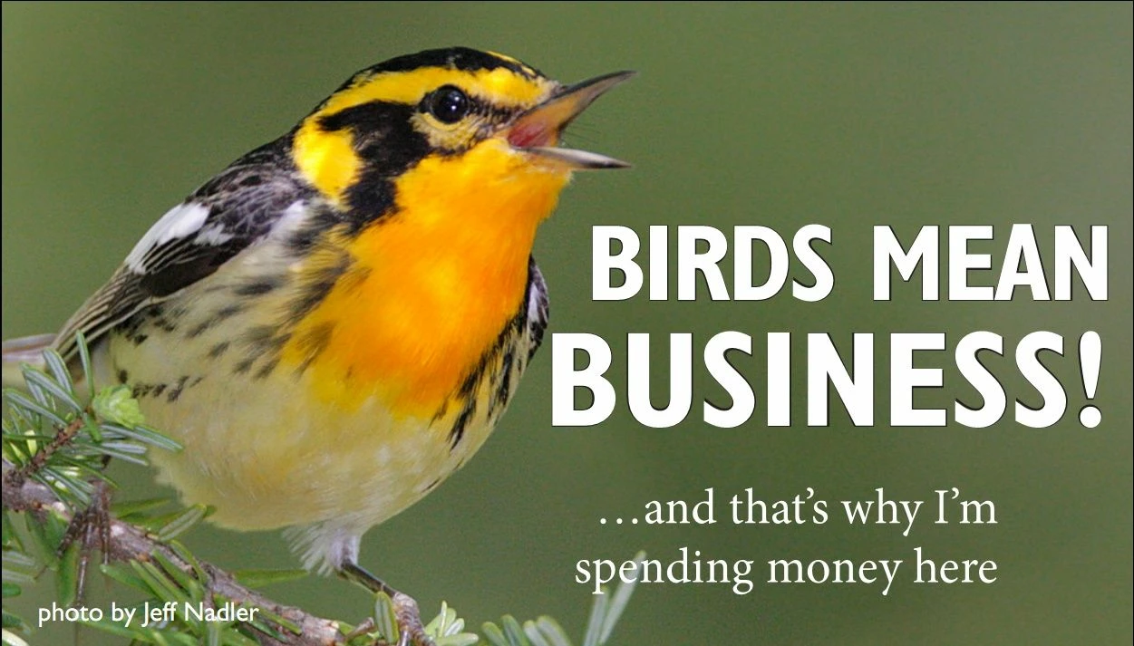 Birds Mean Business