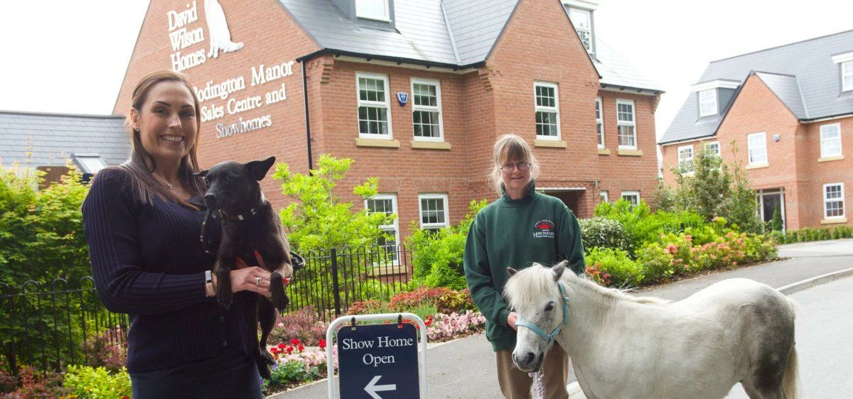 Local housebuilder supports most successful Dog Show to date!