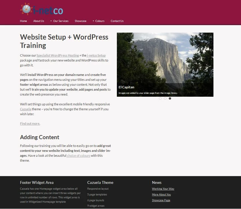i-netco wordpress training
