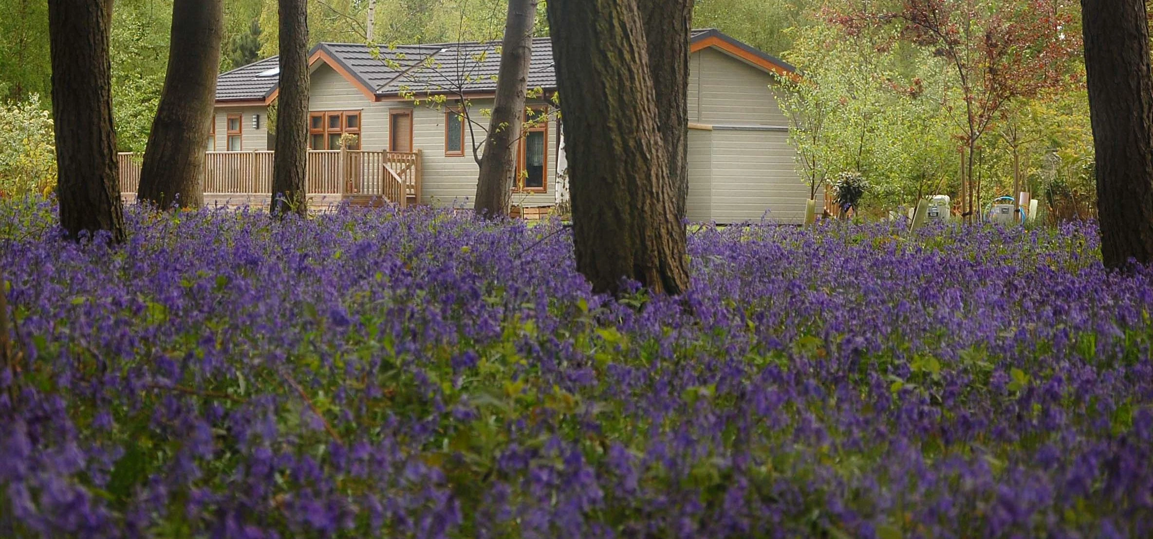 Hollicarrs Holiday Park