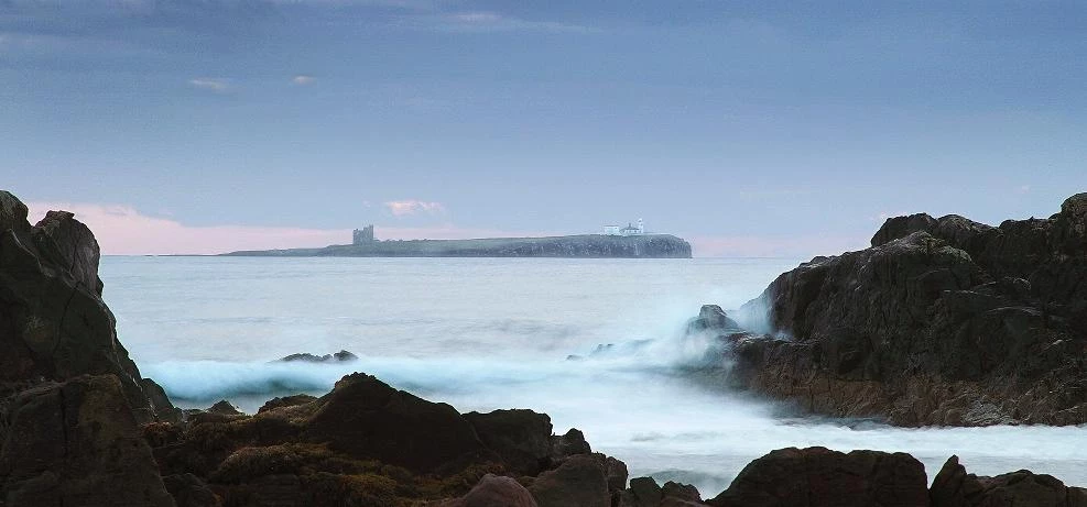 The winning shot in the North East photo competition of the Farne Islands 