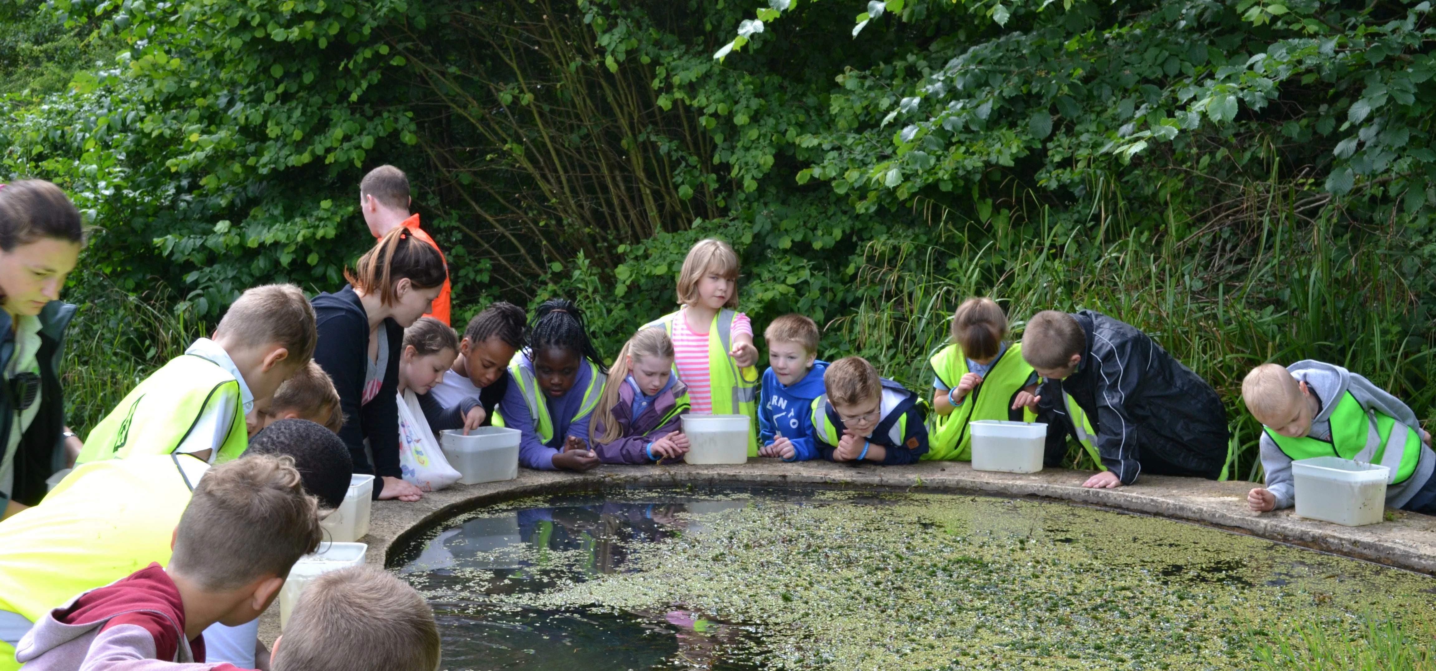 Children from Park Spring Primary School in Leeds enjoy a day out at Nell Bank in Ilkley.