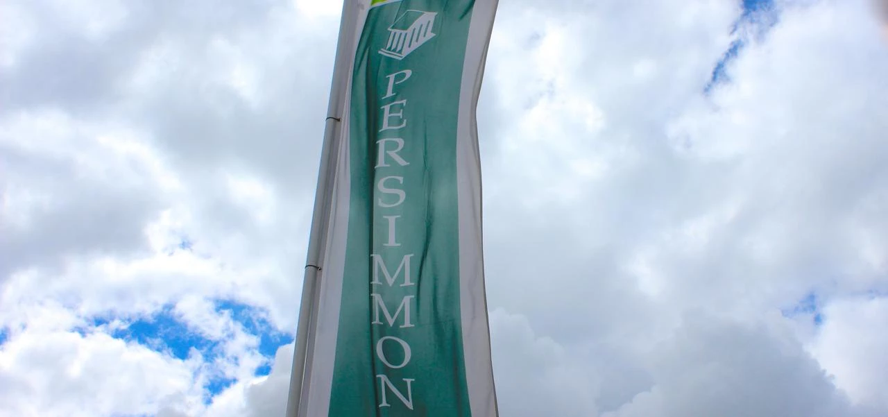 Maiden Vale off to a flying start