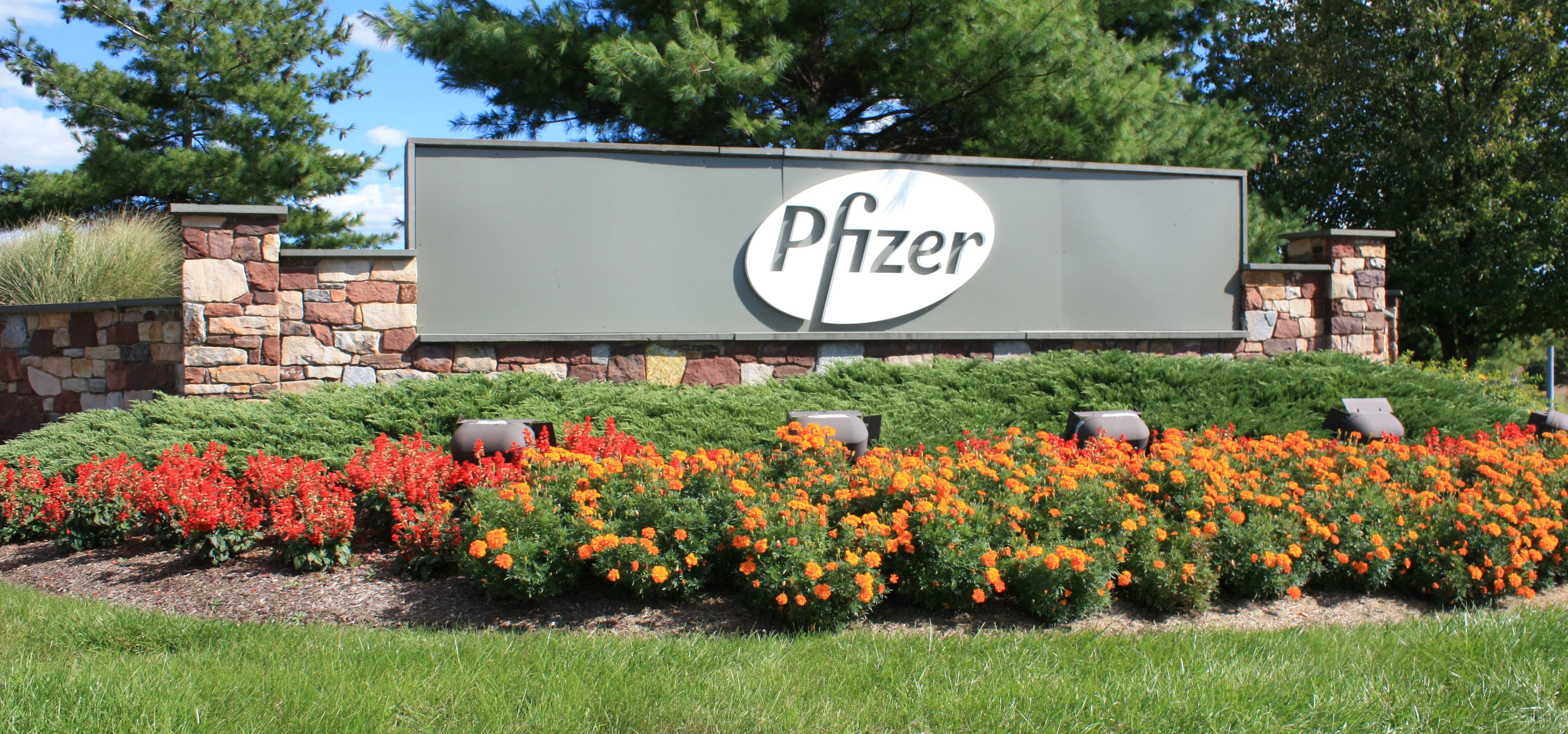 Pfizer Sign II