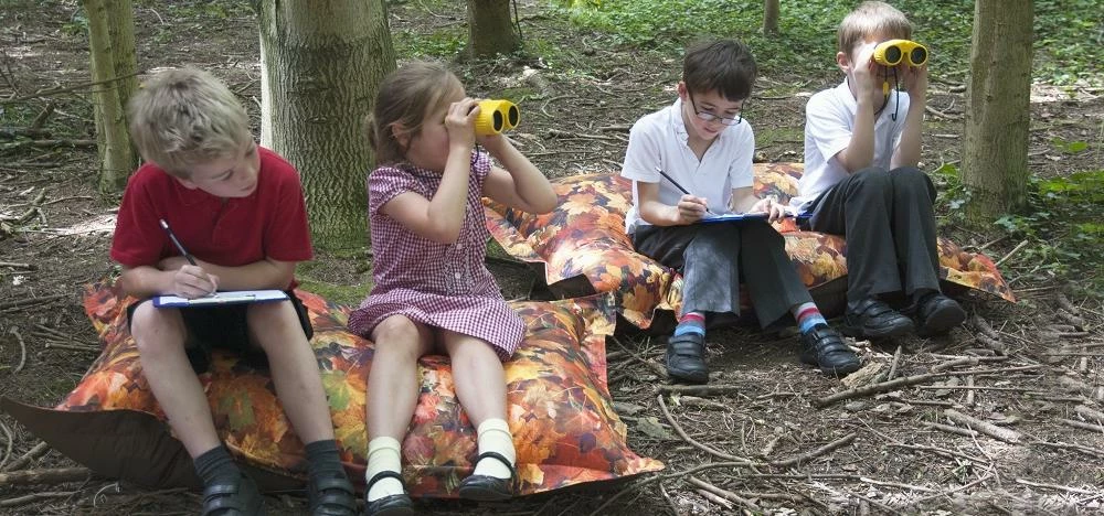 Children at Abbeyfields Forest School in Morpeth learning about nature on Eden Learning Spaces bean
