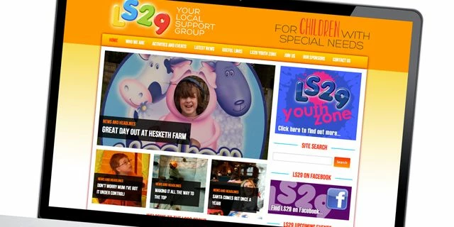 LS29 website screen shot
