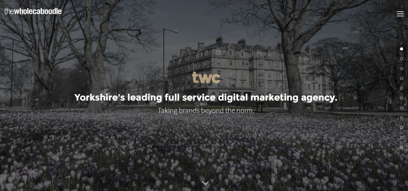 The Whole Caboodle: Digital Agency