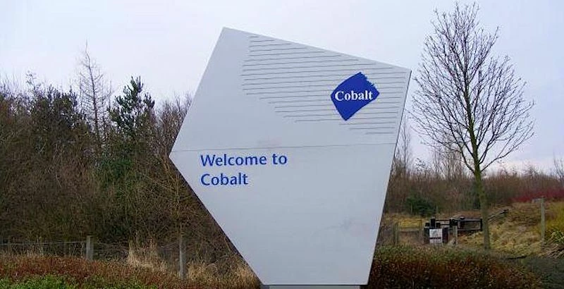 Cobalt Sign