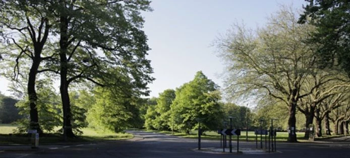 Sefton Park Meadows
