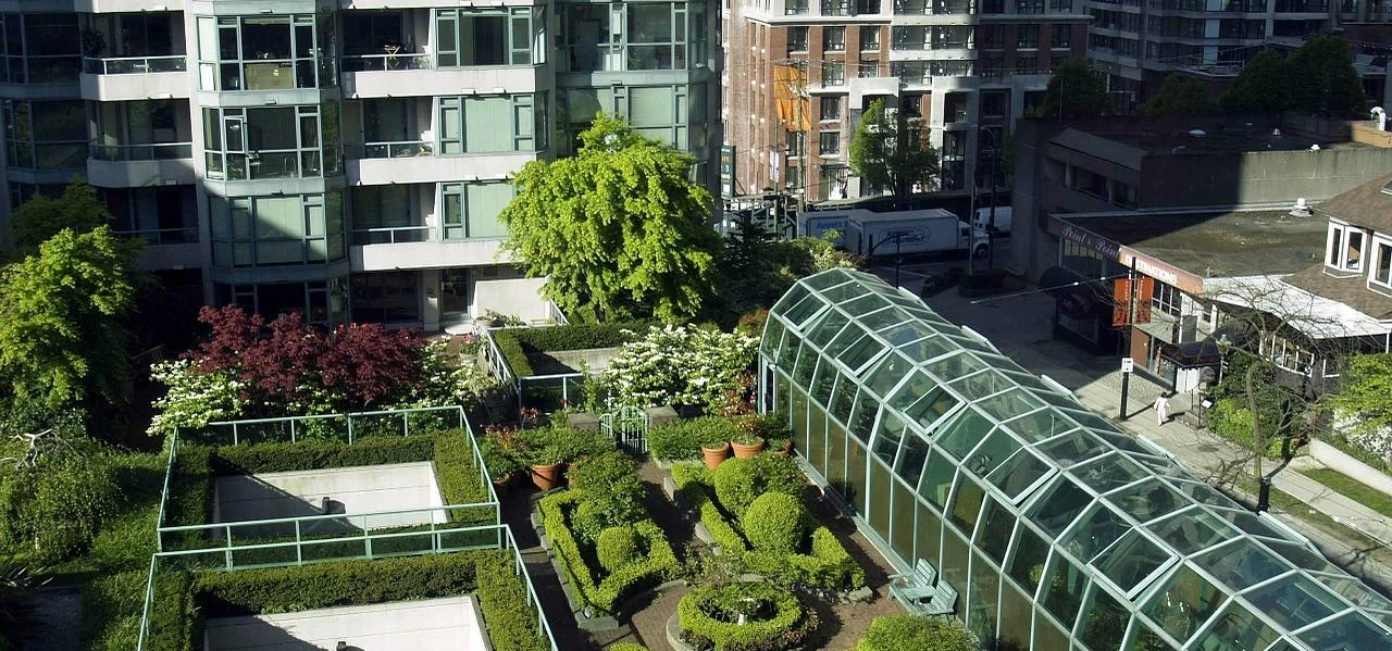 Company roof gardens come with multiple benefits 