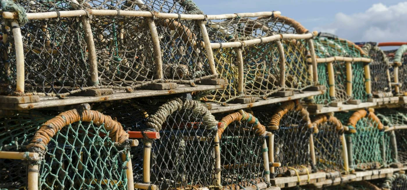 SuccorfishM2M fisheries technology aiding IFCA potting bylaws