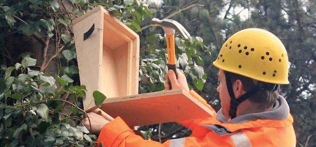 An Ecus employee installing bat boxes as part of the Network Rail framework. 